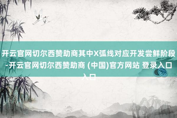开云官网切尔西赞助商其中X弧线对应开发尝鲜阶段-开云官网切尔西赞助商 (中国)官方网站 登录入口